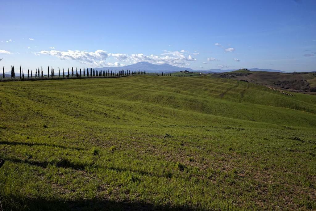La Di Montisi *